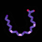 arachidonic.pvc.srf.2 copy.jpg