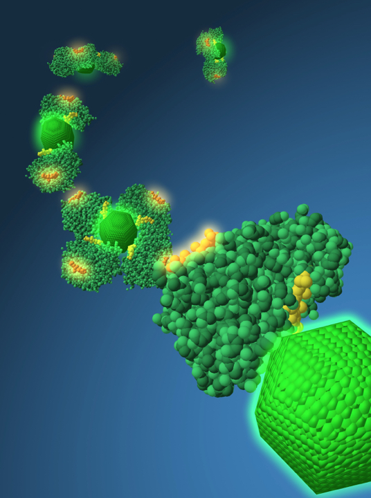 Loading Image